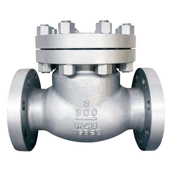 API 6D Check Valve